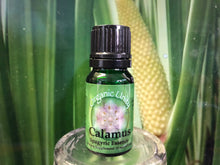 Load image into Gallery viewer, Calamus Spagyric Essence