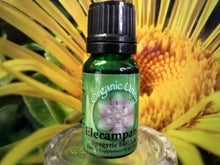 Load image into Gallery viewer, Elecampane Spagyric Essence