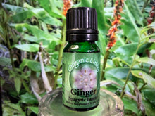 Load image into Gallery viewer, Ginger Spagyric Essence