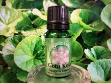 Load image into Gallery viewer, Gotu Kola Spagyric Essence