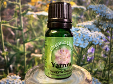 Load image into Gallery viewer, Yarrow Spagyric Essence