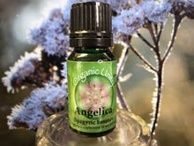 Load image into Gallery viewer, Angelica Spagyric Essence
