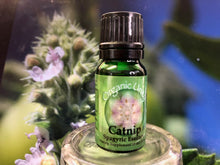 Load image into Gallery viewer, Catnip Spagyric Essence
