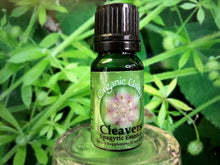 Load image into Gallery viewer, Cleavers Spagyric Essence

