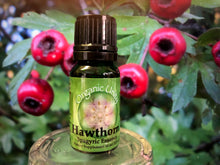 Load image into Gallery viewer, Hawthorn Spagyric Essence
