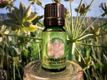 Load image into Gallery viewer, Lomatium Spagyric Essence
