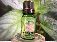 Load image into Gallery viewer, Peppermint Spagyric Essence
