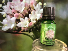Load image into Gallery viewer, Valerian Spagyric Essence
